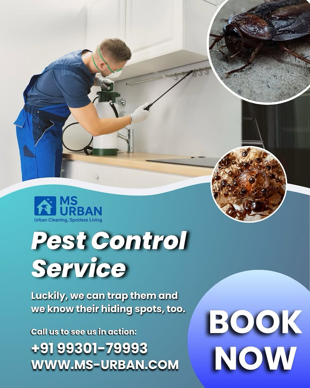Pestcontrolservices.jpg